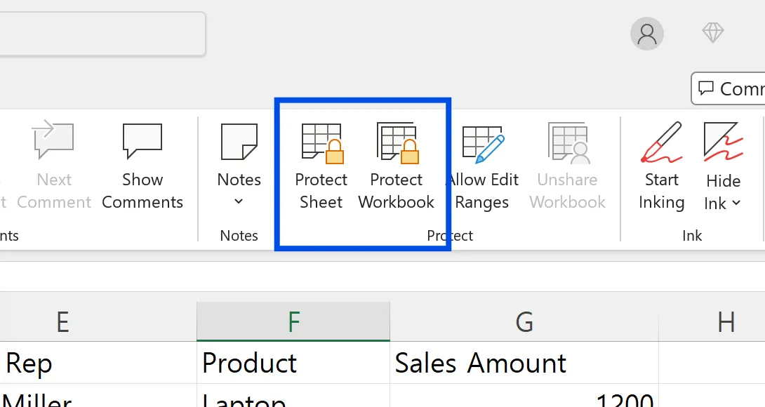 Excel Review tab ribbon with Protect Sheet and Protect Workbook buttons highlighted