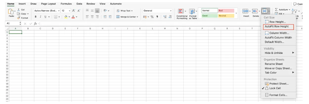 Excel Format menu showing AutoFit Row Height option to fix text display